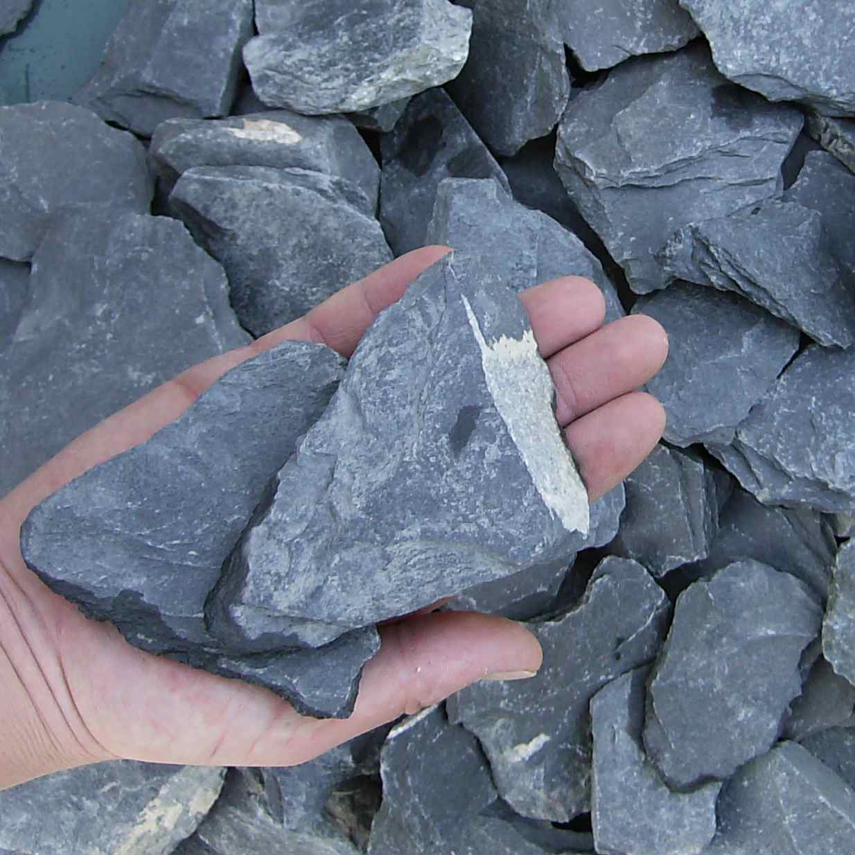 Canadian Slate zwart breuksteen 60/180 (droog)