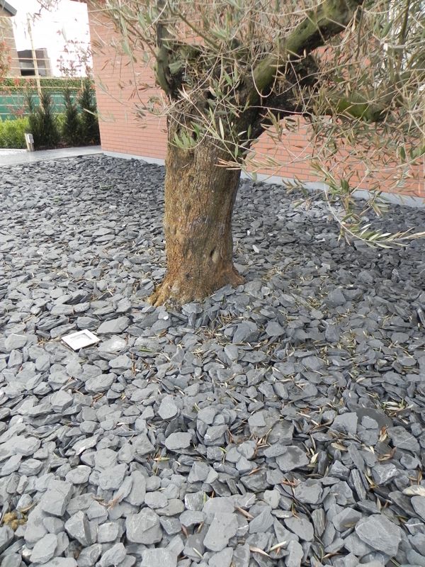 Canadian slate breuksteen aangelegd