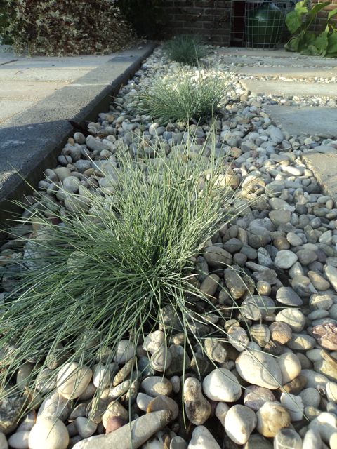 witte grind tuin