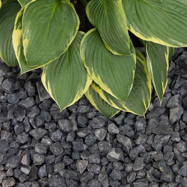 Basalt split 8 - 16mm aangelegd