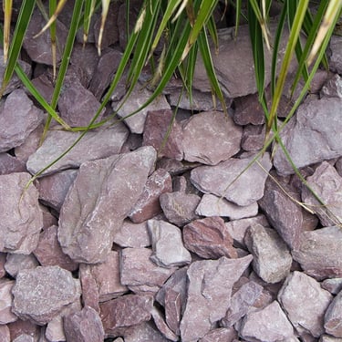 Canadian slate paars 30 - 60 aangelegd