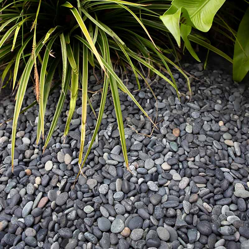Beach pebbles zwart 5 - 8mm aangelegd tuin