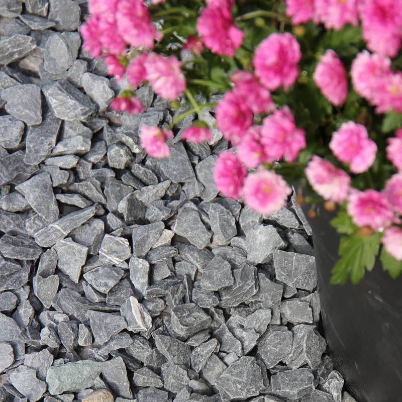 Canadian Slate zwart 15 - 30 aangelegde siertuin