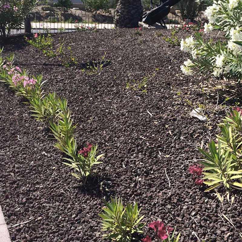 Lava split toegepast als siersplit in de tuin
