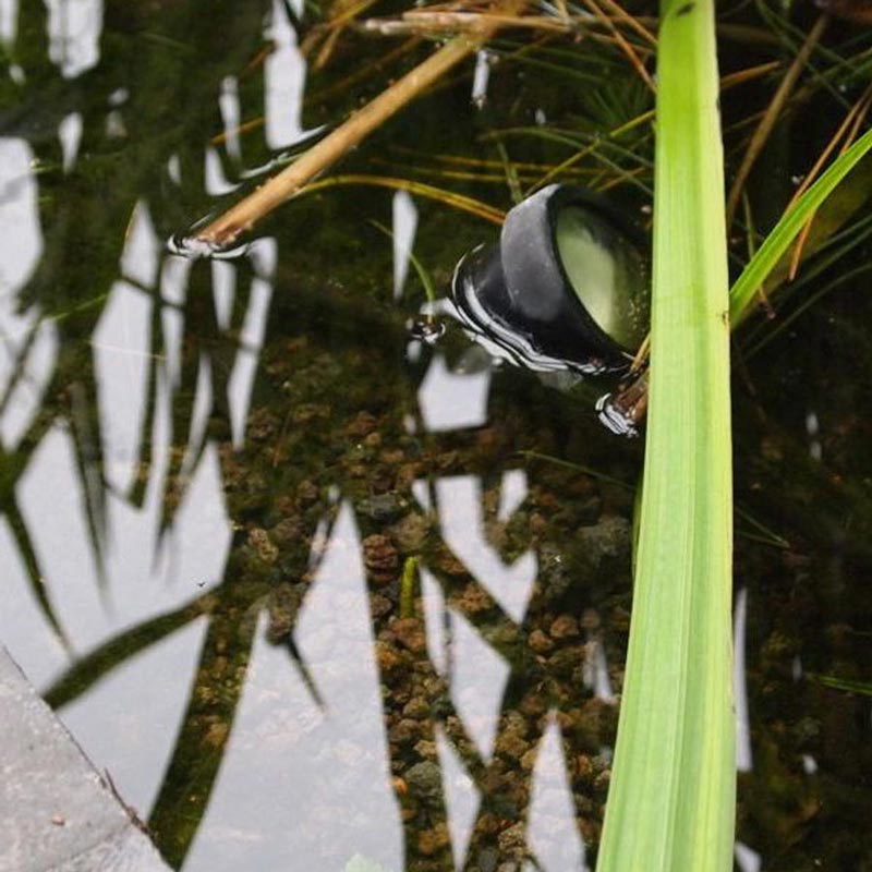 Lavasplit aangelegd in zwemvijver