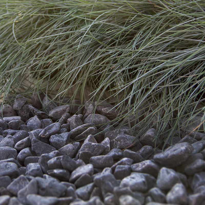 Nero ebano grind 12 - 18mm siertuin
