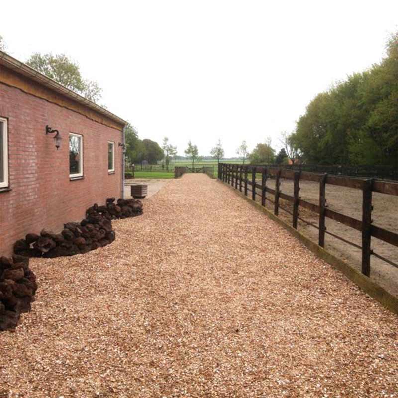 Gewassen schelpen aangelegd (schelpenpad)