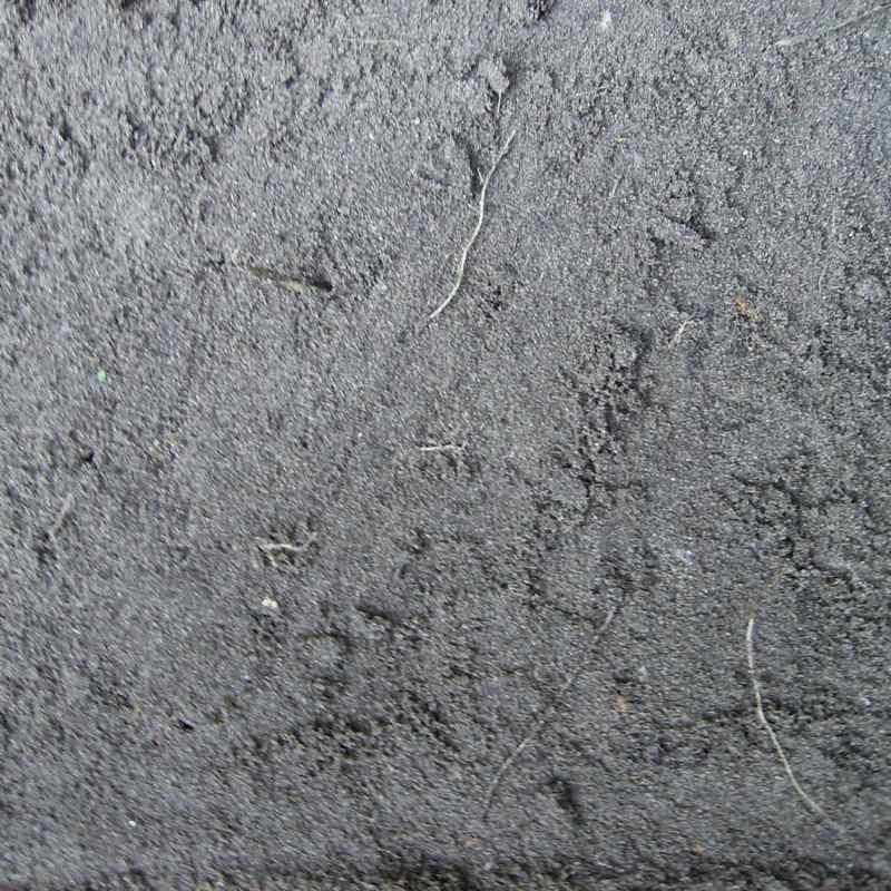 zwarte grond