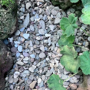 Flachkorn 8 - 16mm aangelegd