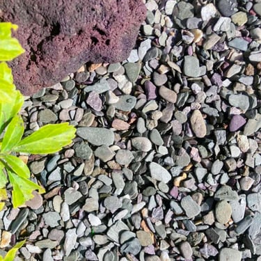 Flachkorn 8 - 16mm aangelegd