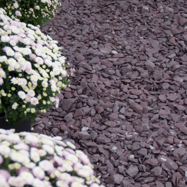 Flat Pebbles paars aangelegd in siertuin