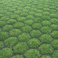 Grasplaat Easygravel 3XL zwart per m2