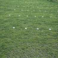 Markeerdoppen Easygravel (doos 26 stuks)