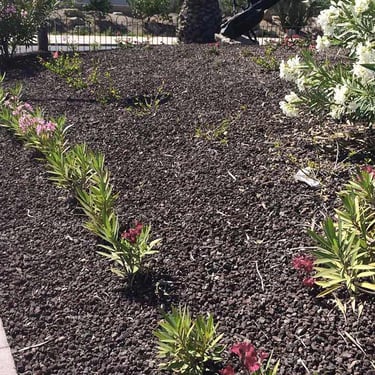 Lava split toegepast als siersplit in de tuin