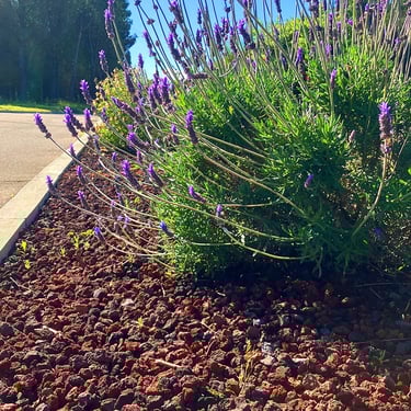 Lavasplit 8 - 16mm aangelegd