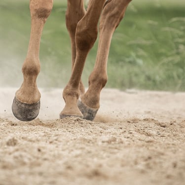 M3C Zand / Paardenbakzand 0,2 - 0,3mm