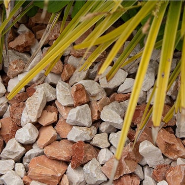 Mediterranea split 11 - 22mm aangelegd