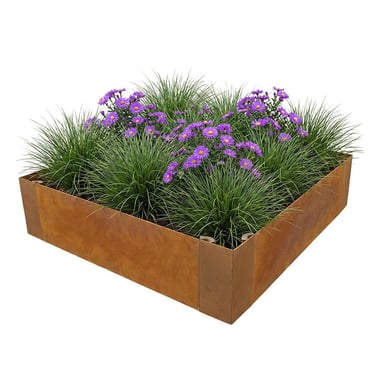 Multi-Edge ADVANCE Corten staal Borderbak 60x60x20cm aangelegd