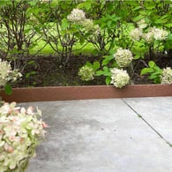 Kantopsluiting Ecolat Recht 2m x 14cm Bruin