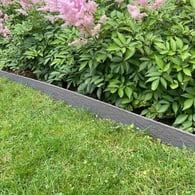 Multi-Edge ECO Afboording Recht 2m x 10cm