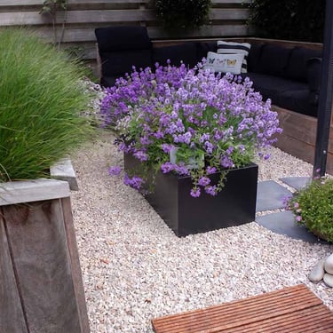 Multi-Edge FLORA Plantenbak Zwart 60x40x40cm aangelegd