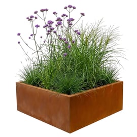 Multi-Edge FLORA Plantenbak Corten staal 30x30x30cm