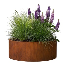Multi-Edge FLORA Plantenbak Cortenstaal Rond 