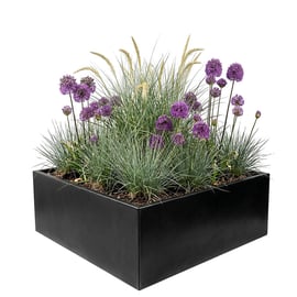 Multi-Edge FLORA Plantenbak Zwart