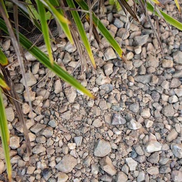 Achterhoeks Padvast aangelegd