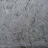Zwarte grond