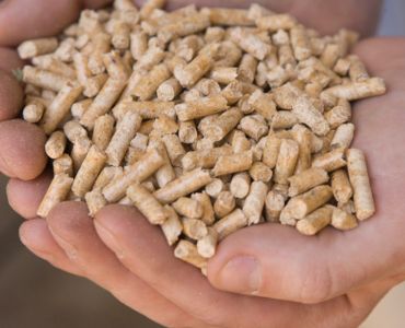 Pellets de madeira