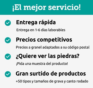 Servicios