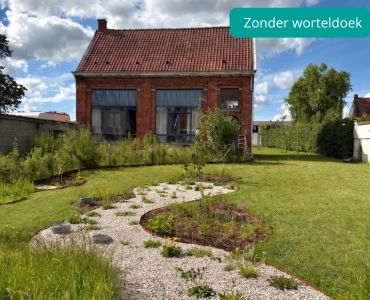 Tuin met onkruid 
