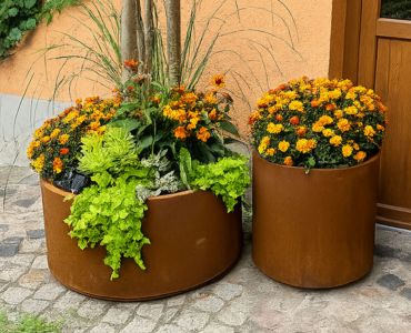 Multi-Edge FLORA Rond